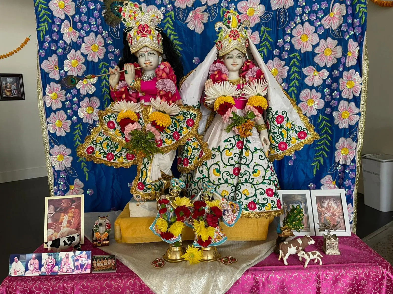 WhatsApp Image 2025-01-27 at 11.02.58 PM (3)